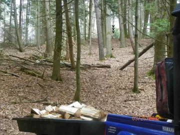 [Hearth.com] Pine Hauled Out Today