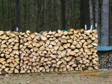 [Hearth.com] Pine Hauled Out Today