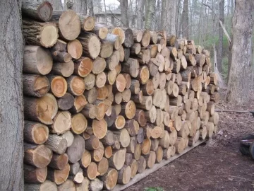 [Hearth.com] A little buckin and stackin goin down today.