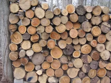 [Hearth.com] A little buckin and stackin goin down today.
