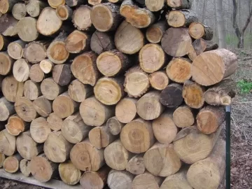 [Hearth.com] A little buckin and stackin goin down today.
