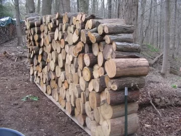 [Hearth.com] A little buckin and stackin goin down today.