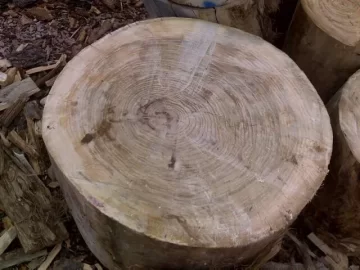 [Hearth.com] Weekends work.  Wood ID Please.