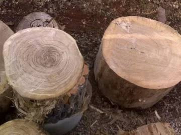 [Hearth.com] Weekends work.  Wood ID Please.