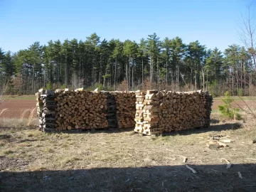 [Hearth.com] Update delivered wood stacked and sneak preview of 6 cords of dry wood in my shelter..