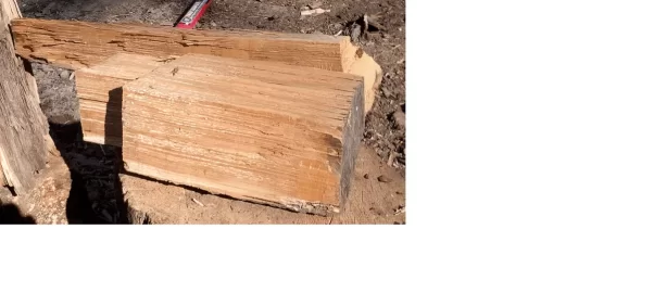 [Hearth.com] wood id