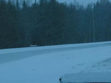 [Hearth.com] The snow's really coming down now