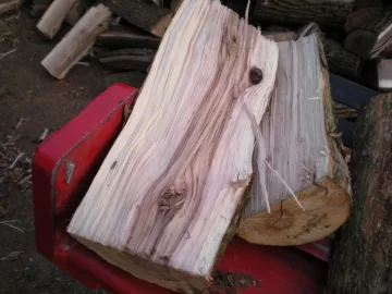 [Hearth.com] Ideas please/wood ID