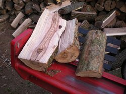 firewood id 003.jpg