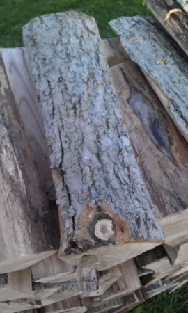 [Hearth.com] Is this ash?