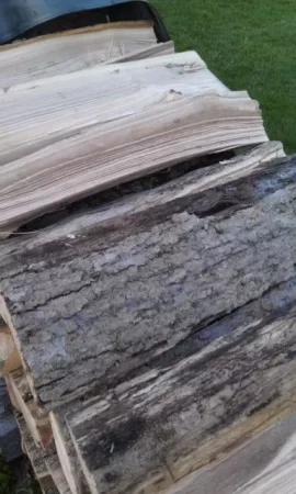 [Hearth.com] Is this ash?