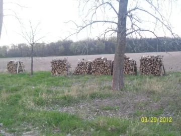 [Hearth.com] Got the big oak split up.