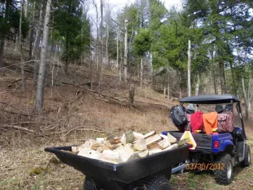 [Hearth.com] Beech Off The Hill