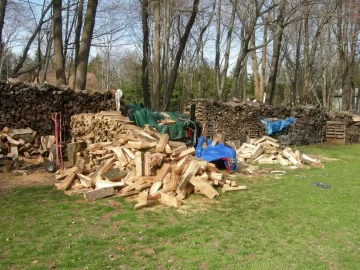 [Hearth.com] Did some splitting and started stacking.