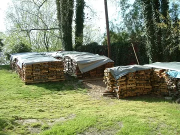 [Hearth.com] Almost Finished Harvesting Hurricane Irene's Bounty