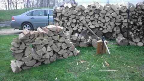 [Hearth.com] Adding to the wood pile!!! (Pics)