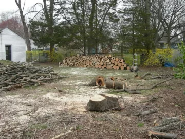 [Hearth.com] Maple score