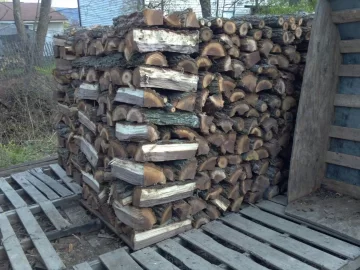 [Hearth.com] started splitting the walnut