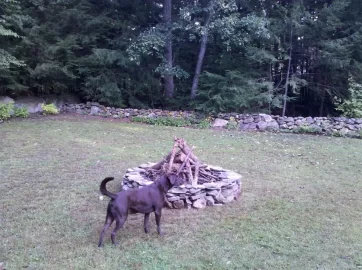 [Hearth.com] Fire pit