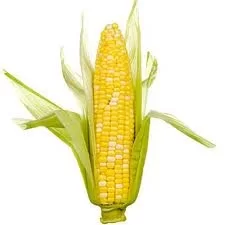[Hearth.com] Burning a Corn Mix in a 25-PDV or PDVC works?