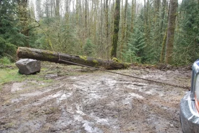 [Hearth.com] Busy Saturday, more truck logging. Pics