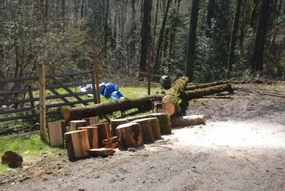 [Hearth.com] Busy Saturday, more truck logging. Pics