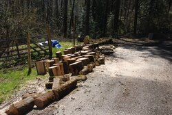 Busy Saturday, more truck logging. Pics