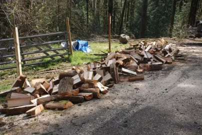 [Hearth.com] Busy Saturday, more truck logging. Pics
