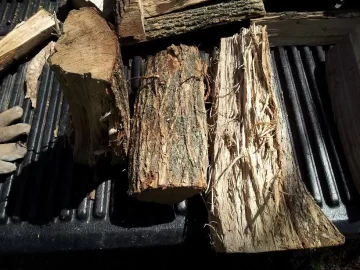 [Hearth.com] Wood ID.....Elm?