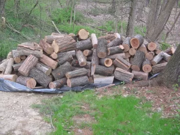 [Hearth.com] Cut this easter weekend.
