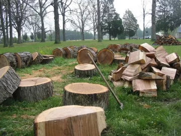 [Hearth.com] A little white oak bucked this weekend.