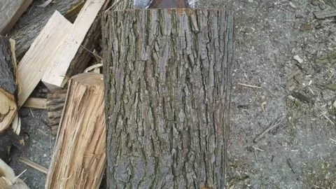 [Hearth.com] Little help please. Wood ID.