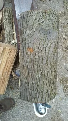 [Hearth.com] Little help please. Wood ID.