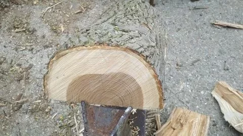 [Hearth.com] Little help please. Wood ID.