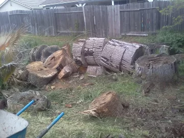 [Hearth.com] Another Oak Scrounge