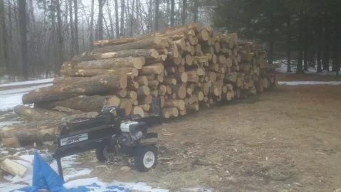 [Hearth.com] The Wood Will Be Delivered Next Week
