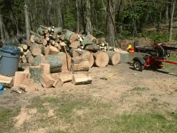 [Hearth.com] Almost Finished Harvesting Hurricane Irene's Bounty