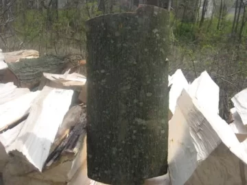 [Hearth.com] What type of Maple is this?