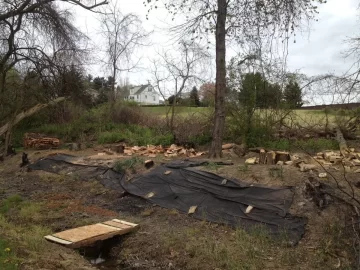 [Hearth.com] Friday and Saturday work.....whew!