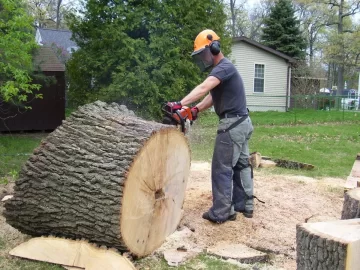 [Hearth.com] 4' Red Oak pics