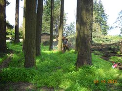 Oregon Logging Action Pics (And BIG Upcoming Scrounge!)