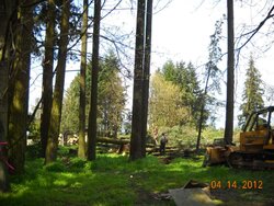 Oregon Logging Action Pics (And BIG Upcoming Scrounge!)
