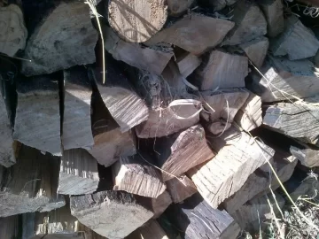 [Hearth.com] What Kind please?.... It was my first time.... Cutting Oak