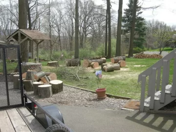 [Hearth.com] So much for my day off.