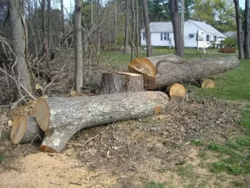 [Hearth.com] 4' Red Oak pics