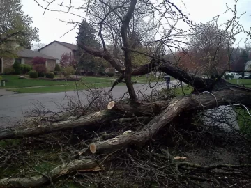 [Hearth.com] Nice load today(honey locust)
