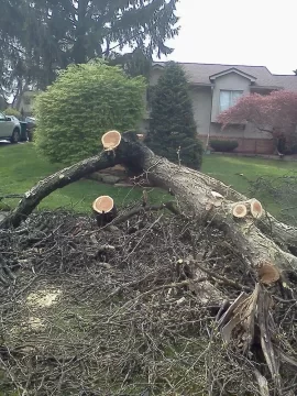 [Hearth.com] Nice load today(honey locust)