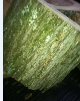 [Hearth.com] wood ID Please