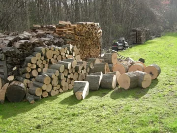 [Hearth.com] Today's splitting