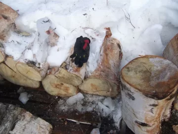 [Hearth.com] Splitting wood on carpet, frozen wood/ pics